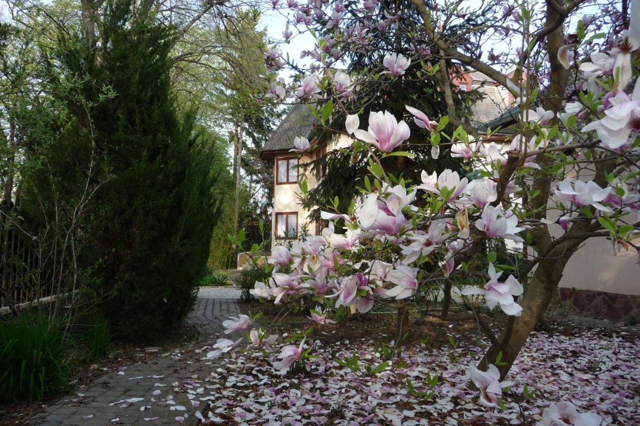 Balaton Art Guesthouse Балатонсемеш Екстер'єр фото
